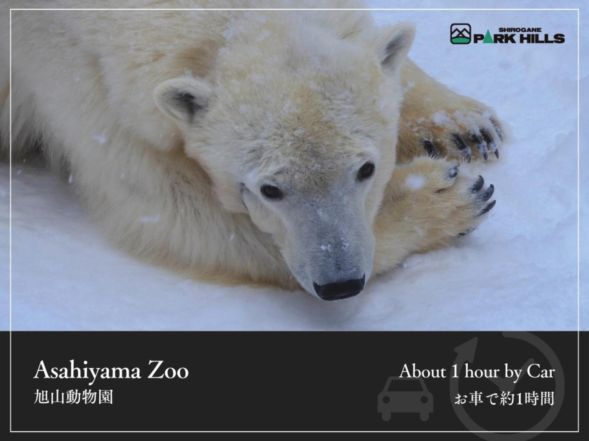 Biei Shirogane Onsen Hotel Park Hills Eksteriør billede