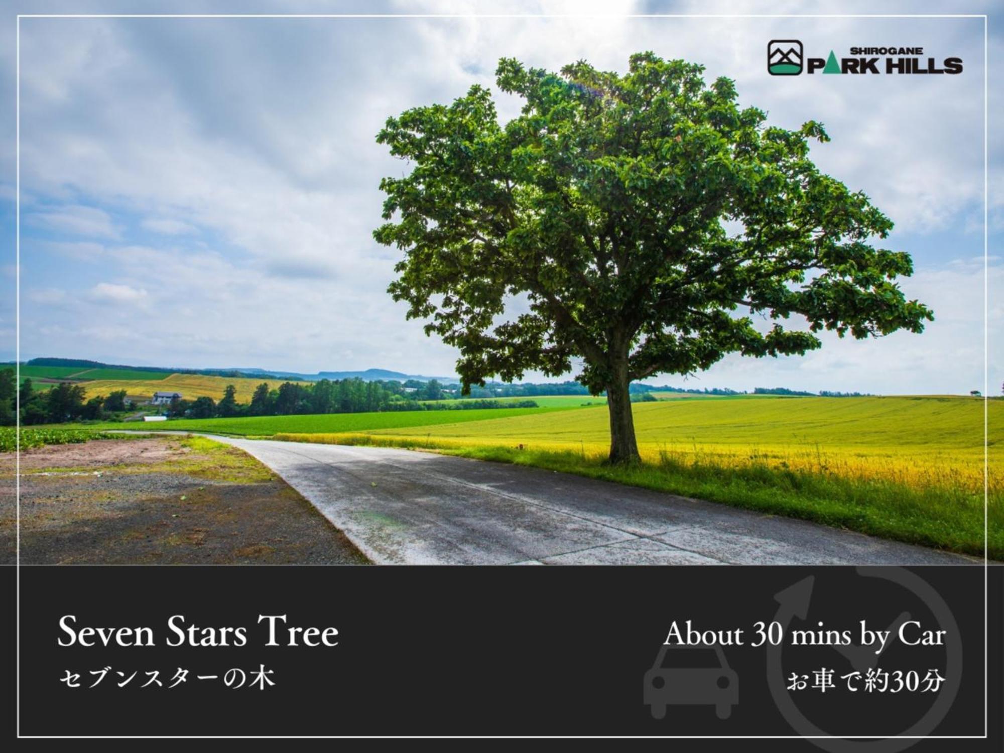 Biei Shirogane Onsen Hotel Park Hills Eksteriør billede